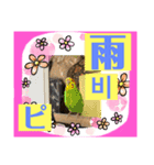 日本語と韓国語と天気（個別スタンプ：3）