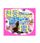 日本語と韓国語と天気（個別スタンプ：4）