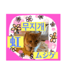 日本語と韓国語と天気（個別スタンプ：7）