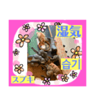 日本語と韓国語と天気（個別スタンプ：9）