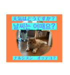 日本語と韓国語と天気（個別スタンプ：17）