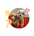 バビのスタンプvol.2（個別スタンプ：3）