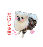 バビのスタンプvol.2（個別スタンプ：13）