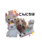 my Grace（個別スタンプ：1）