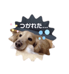 my Grace（個別スタンプ：7）