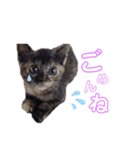 みーともん（個別スタンプ：4）