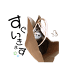 みーともん（個別スタンプ：8）