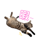 みーともん（個別スタンプ：18）