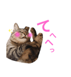 みーともん（個別スタンプ：22）