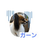 パスカルくん 2（個別スタンプ：21）