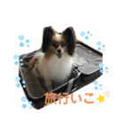 パスカルくん 2（個別スタンプ：23）