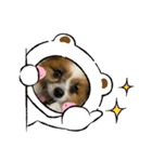 パスカルくん 2（個別スタンプ：25）