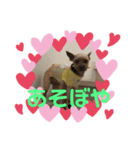 ささやんちのアンドリュー❤️（個別スタンプ：5）
