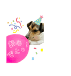 ハクのきもち（個別スタンプ：7）