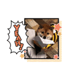 源くんスタンプ 2（個別スタンプ：5）