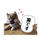源くんスタンプ 2（個別スタンプ：12）