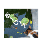 ねこのウリ3（個別スタンプ：2）