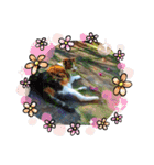 ねこのウリ3（個別スタンプ：15）