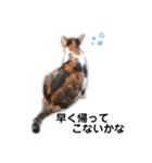 ねこのウリ3（個別スタンプ：24）
