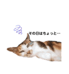 ねこのウリ3（個別スタンプ：34）