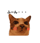 ねこのウリ3（個別スタンプ：35）