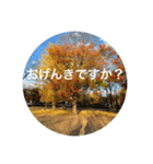 こんばんは おげんきですか（個別スタンプ：5）