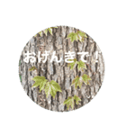 こんばんは おげんきですか（個別スタンプ：6）