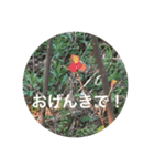 こんばんは おげんきですか（個別スタンプ：7）