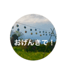 こんばんは おげんきですか（個別スタンプ：8）