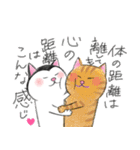 【2月3月】愛を伝える富士額の猫（個別スタンプ：16）