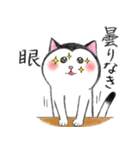 【2月3月】愛を伝える富士額の猫（個別スタンプ：25）