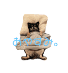 おしぇちゃん（個別スタンプ：2）