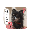 おしぇちゃん（個別スタンプ：7）