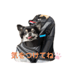 おしぇちゃん（個別スタンプ：8）
