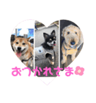 おしぇちゃん（個別スタンプ：11）