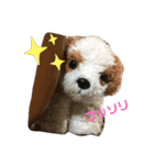 きゅんまる100％ vol.2（個別スタンプ：1）