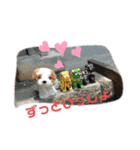 きゅんまる100％ vol.2（個別スタンプ：3）