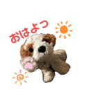 きゅんまる100％ vol.2（個別スタンプ：5）