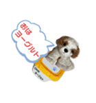 きゅんまる100％ vol.2（個別スタンプ：6）