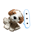 きゅんまる100％ vol.2（個別スタンプ：8）