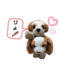 きゅんまる100％ vol.2（個別スタンプ：11）