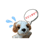 きゅんまる100％ vol.2（個別スタンプ：13）