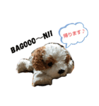 きゅんまる100％ vol.2（個別スタンプ：14）