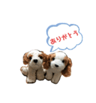 きゅんまる100％ vol.2（個別スタンプ：16）