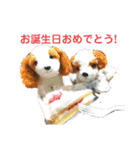 きゅんまる100％ vol.2（個別スタンプ：23）