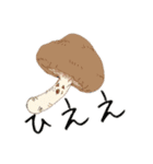 どくとくスタンプ（個別スタンプ：1）
