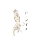 どくとくスタンプ（個別スタンプ：16）