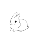 いつもの日常使いうさぎ（個別スタンプ：40）