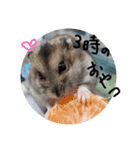 ハムスターのしろとくろ（個別スタンプ：7）