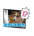 みんなでニコニコ（個別スタンプ：1）